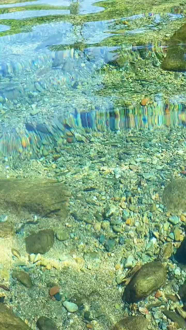 河水清澈见底,鱼儿无忧无虑