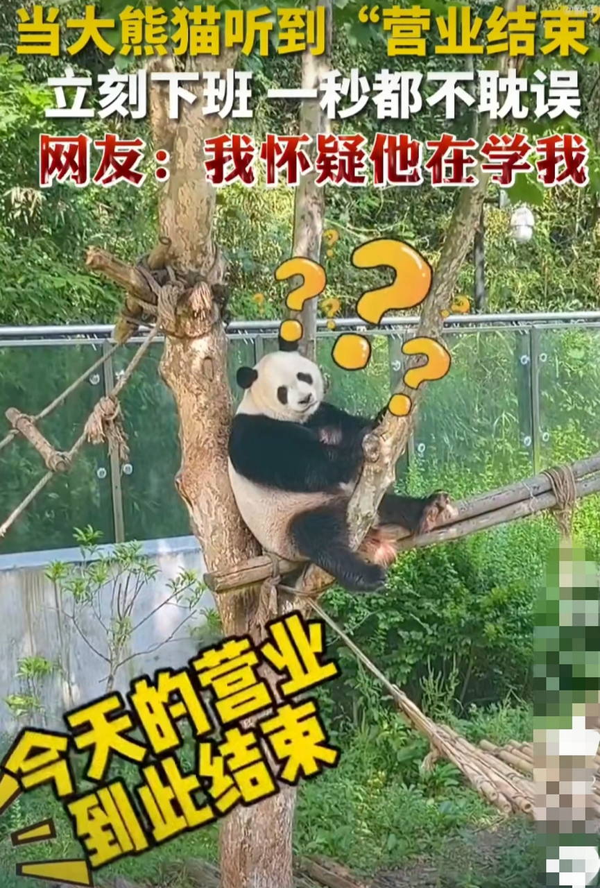 下班啦,冲啊,谁也阻挡不了我下班的脚步[大笑]