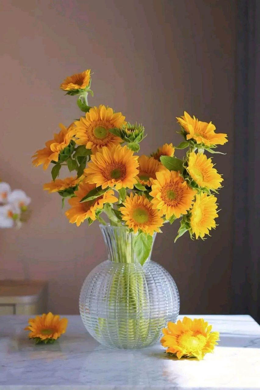 昨天就餐,一位女同事喝醉了,老板叮嘱我送她回家.