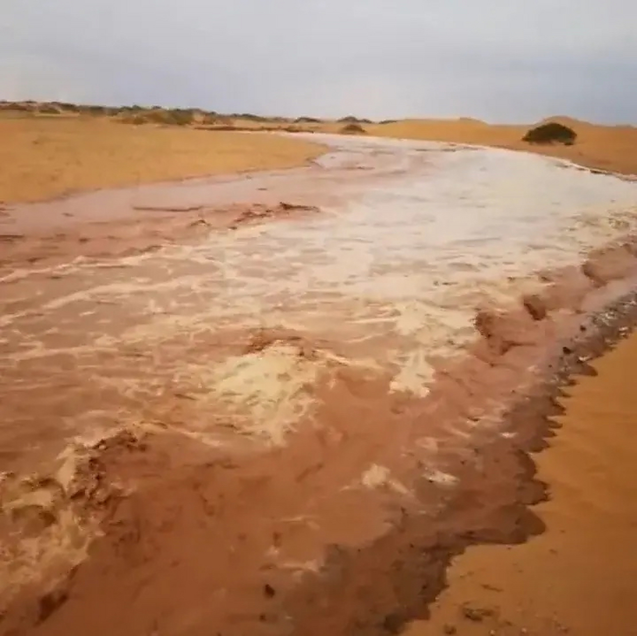 沙漠竟然发洪水了,你敢相信吗!