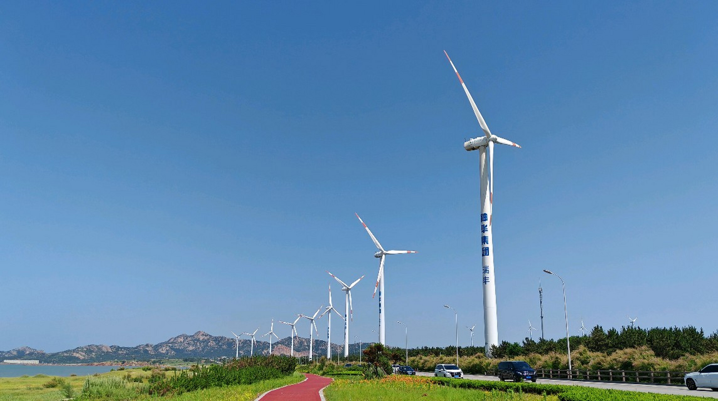 【一路向北:威海】游罢东楮岛渔村,沿着g228前行,有海驴岛,风车大道