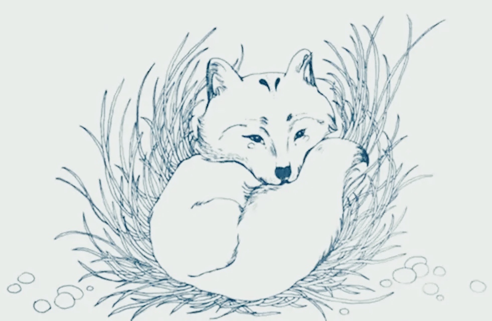 白狐简笔画彩色图片