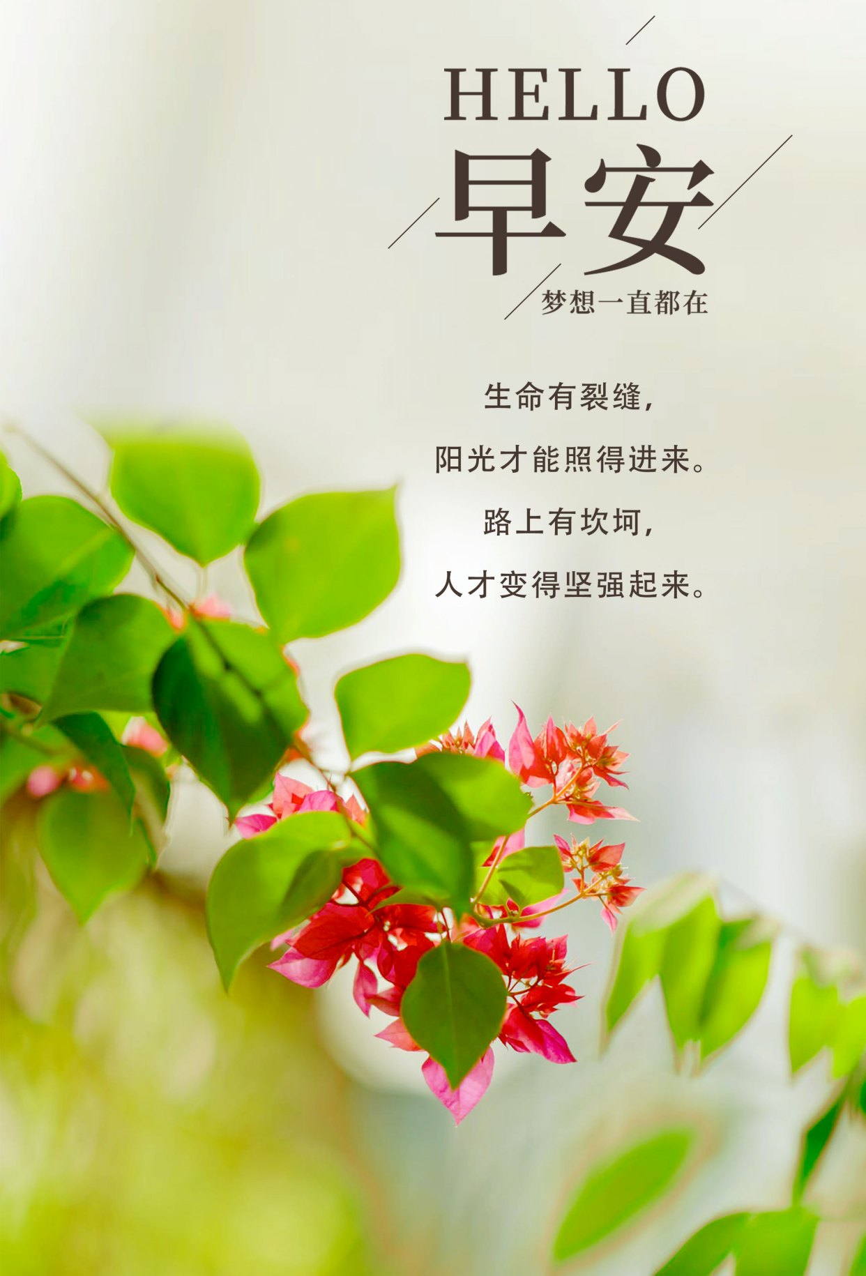 早安心语简短句子,个性签名早安句子短句,发朋友圈很不错!