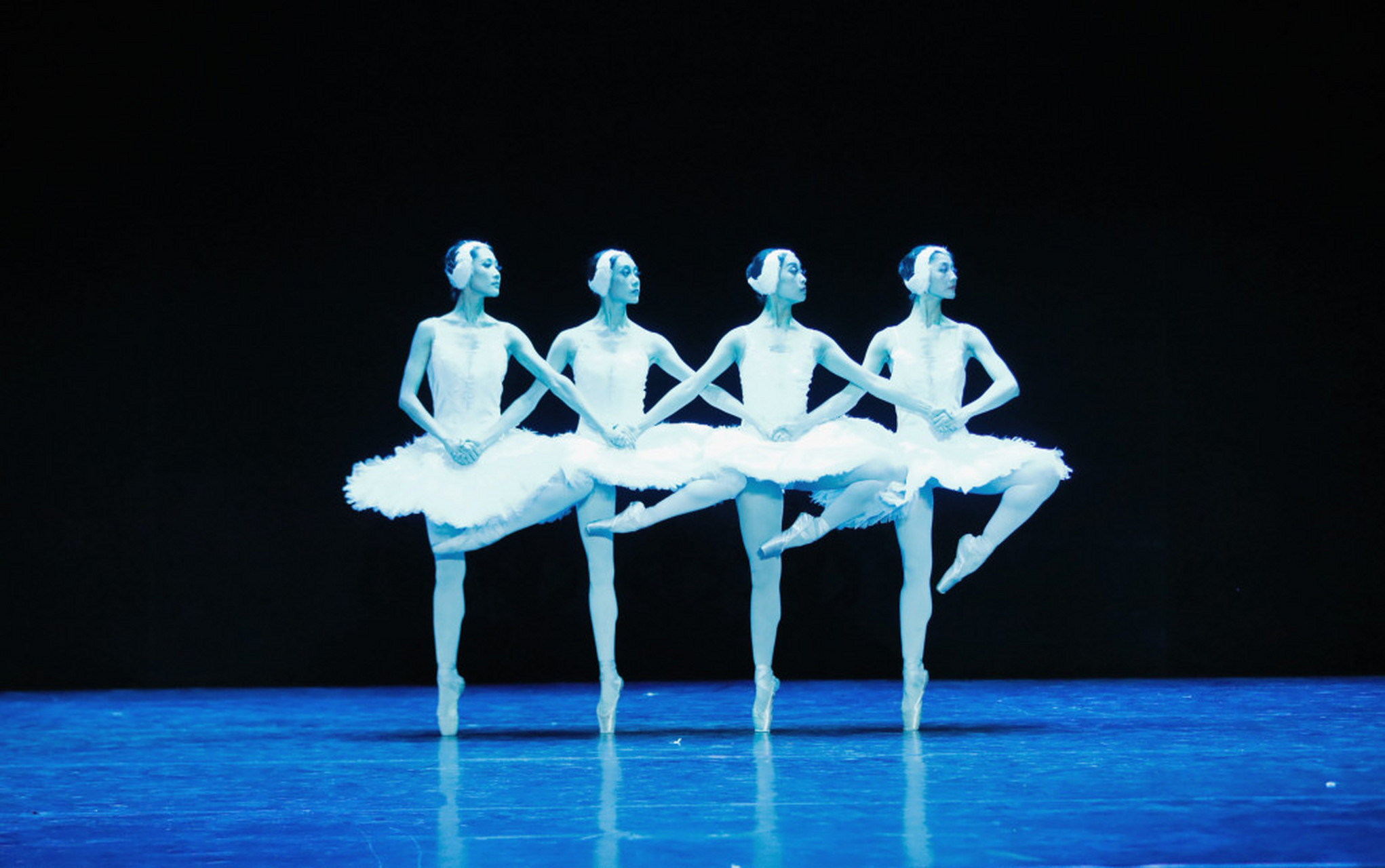 辽宁芭蕾舞团榜样图片