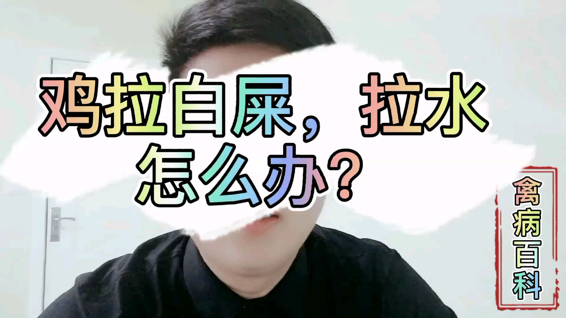 养的鸡拉白屎，拉水？不要着急！我帮你通通解决
