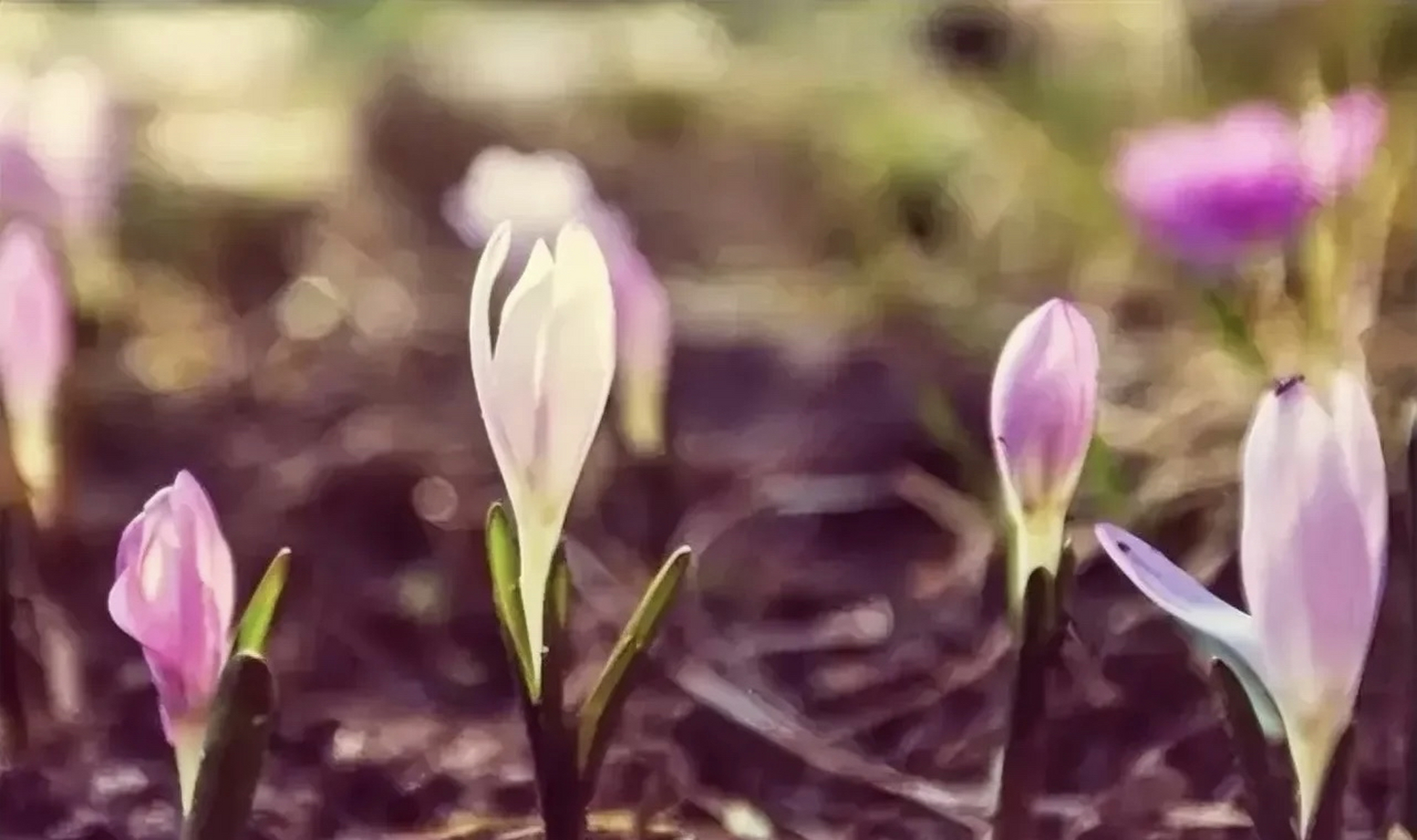 流传千年的老人言,句句都是大智慧.  1,鱼放三日臭,客住三天嫌.