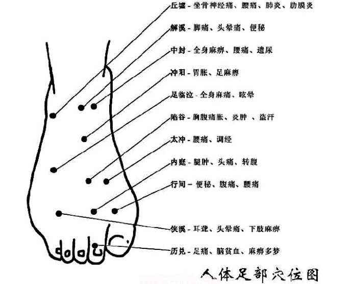 足背主要穴位介绍