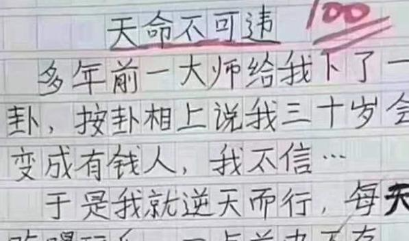 小学生写的作文太过于搞笑