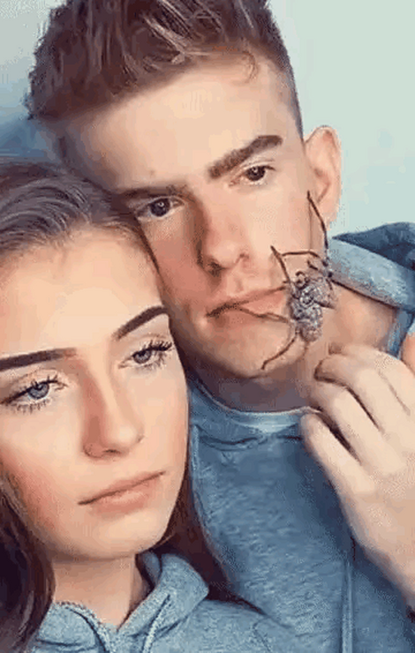 把蜘蛛当密友的男女 #搞笑