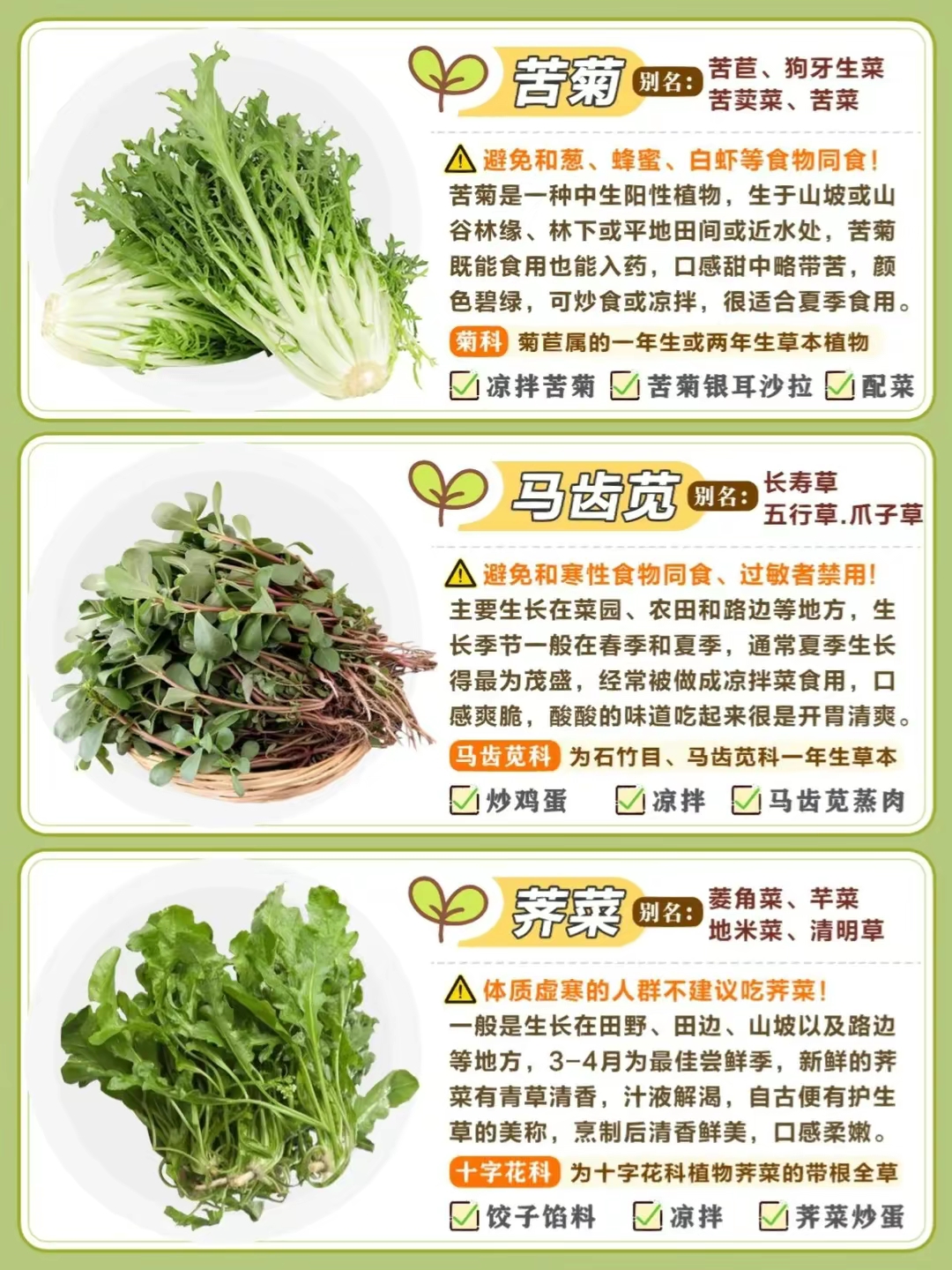 图解常见野菜:你吃过几种?哪一种最美味?