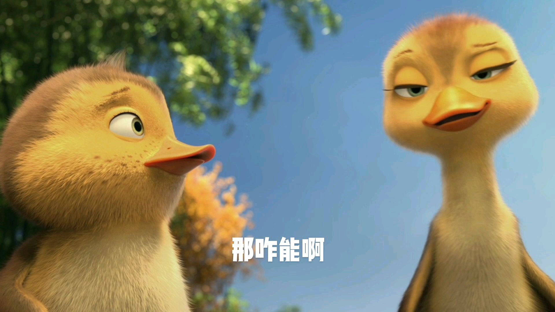 小鸭子搞笑视频剪辑