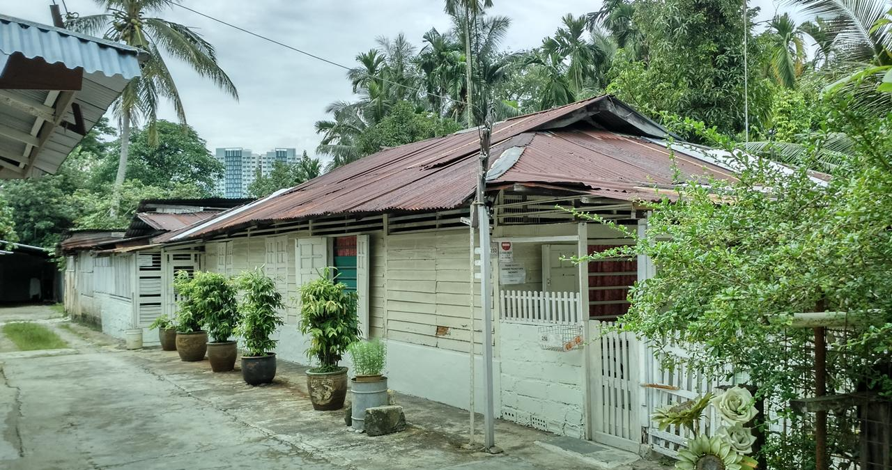 新加坡唯一的农村,农家生活中的花花草草,让人赏心悦目
