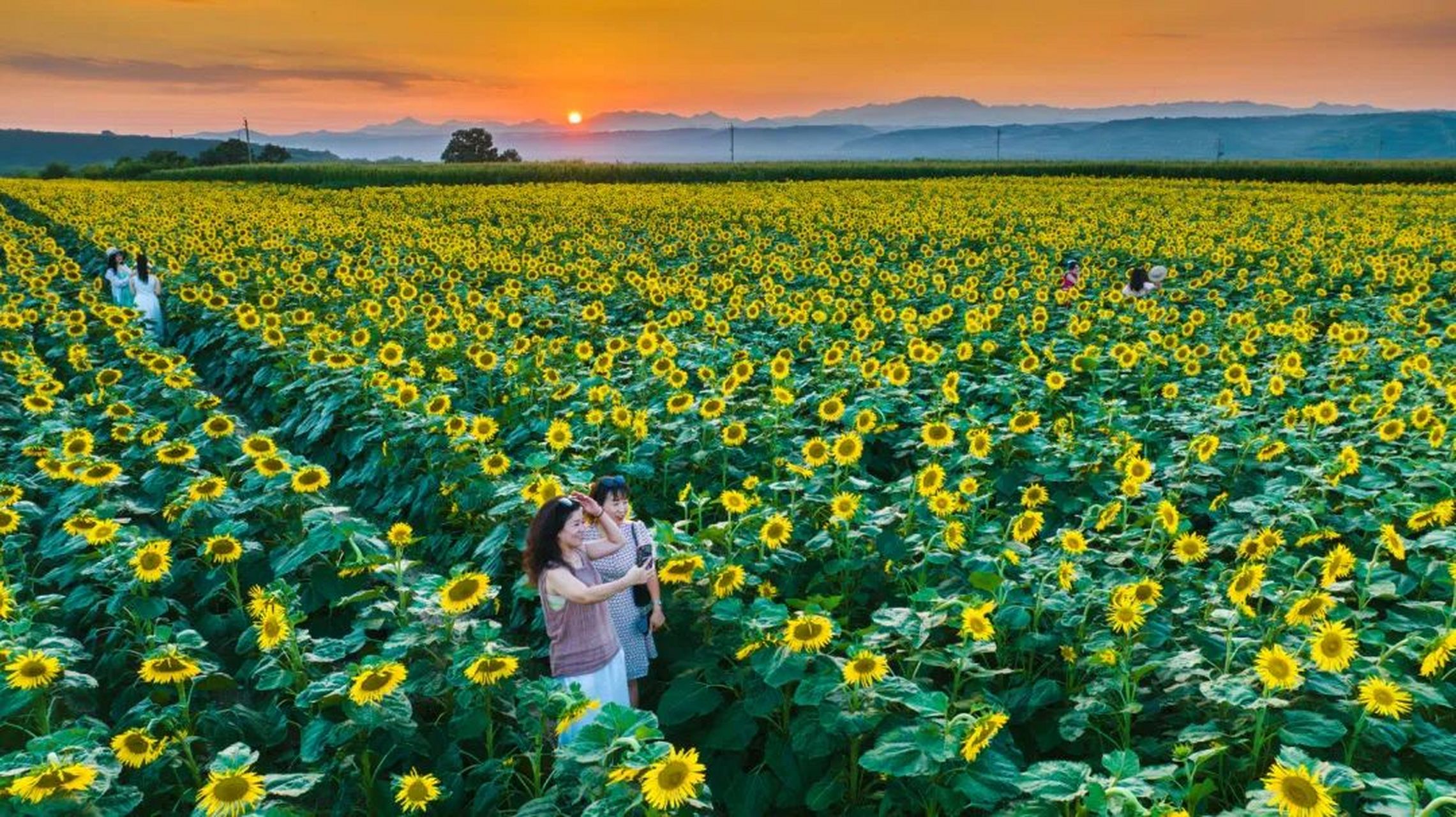 洛阳万安山舜耕智慧田园,孟津区白鹤镇,嵩县车村镇车村村,新安县南