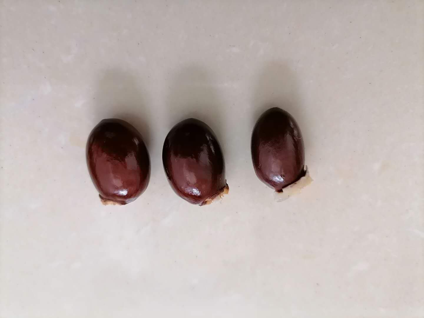 买的荔枝果核太大,吃亏了?教你一招,好玩又益智