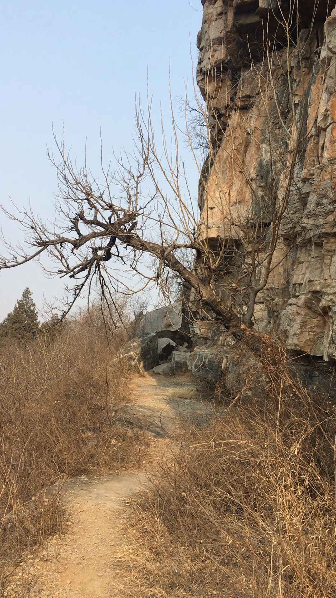 山亭区龙牙山古代生活遗址 都是在石头上的 不知道那三个坑干什么用的
