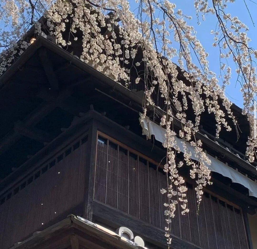 小紅書怎麼去水印拿圖