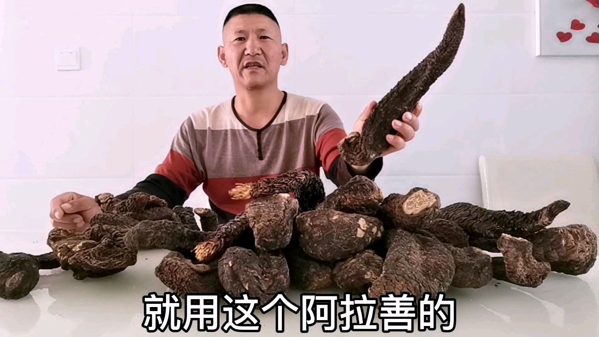 肉苁蓉怎么吃最好呢