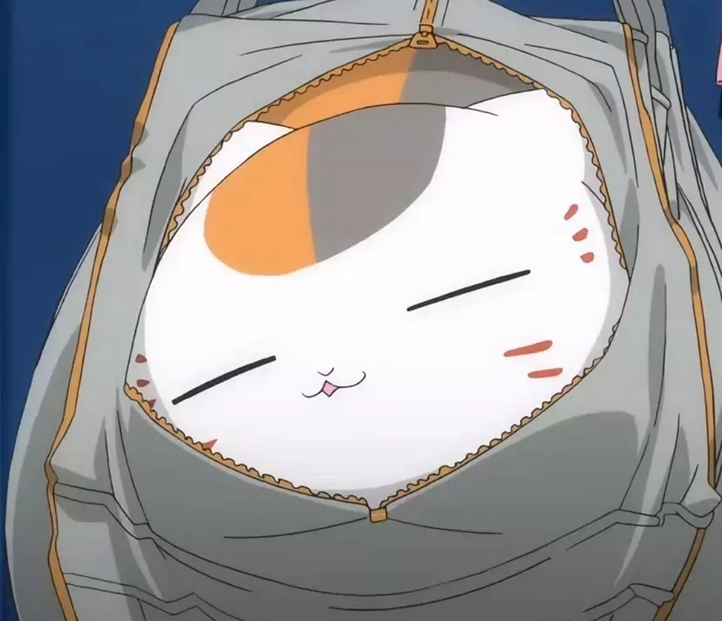 猫咪头像  #夏目友人帐# #二次元