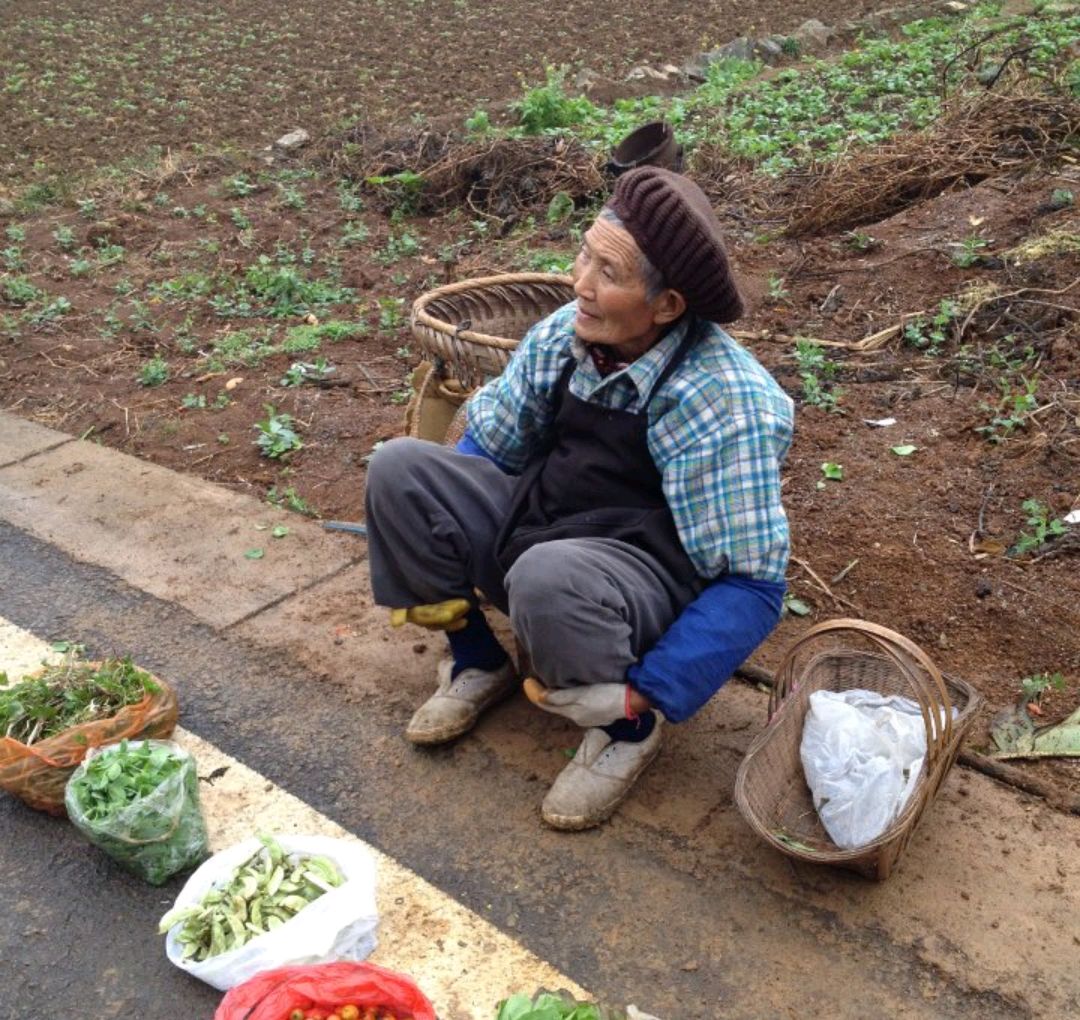 河南老奶奶卖菜为恩人筹钱治病,半小时全卖光,当天收到6万元捐款