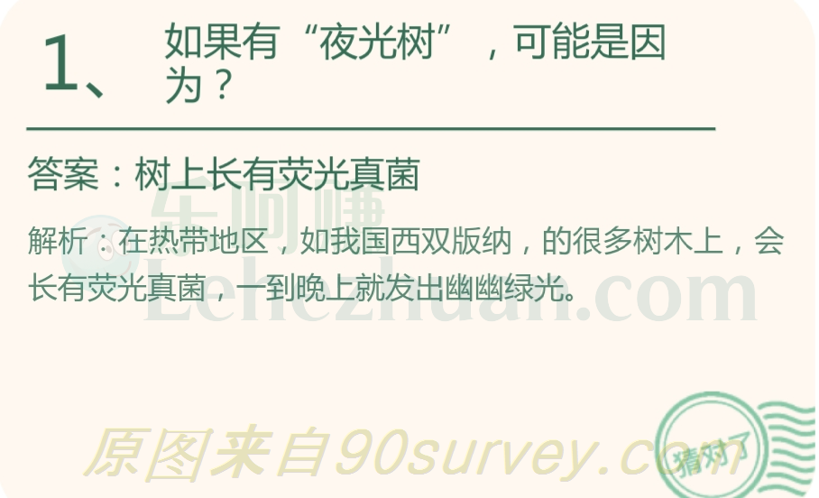 如果有夜光树可能是因为树上长有荧光真菌 如果有夜光树可能是因为树上长有荧光真菌