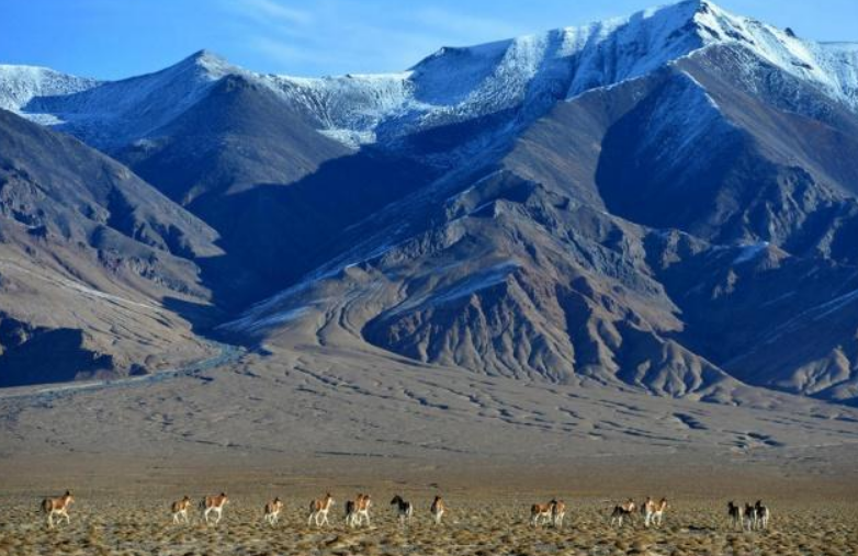 中国第一大县,面积相当于2个韩国,人口却只有7万余人