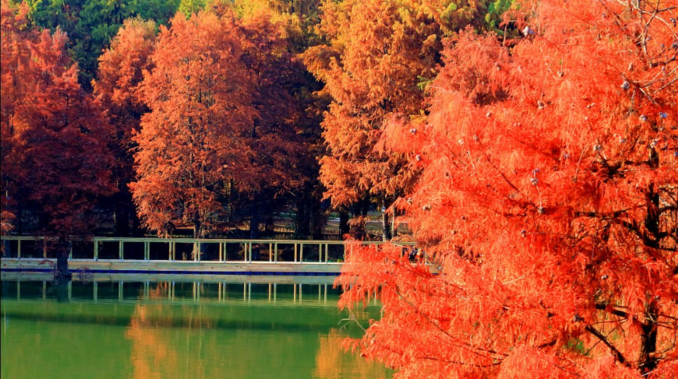 青山湖景区位于杭州市临安区青山镇,是临安第一景,也是临安新十景之一