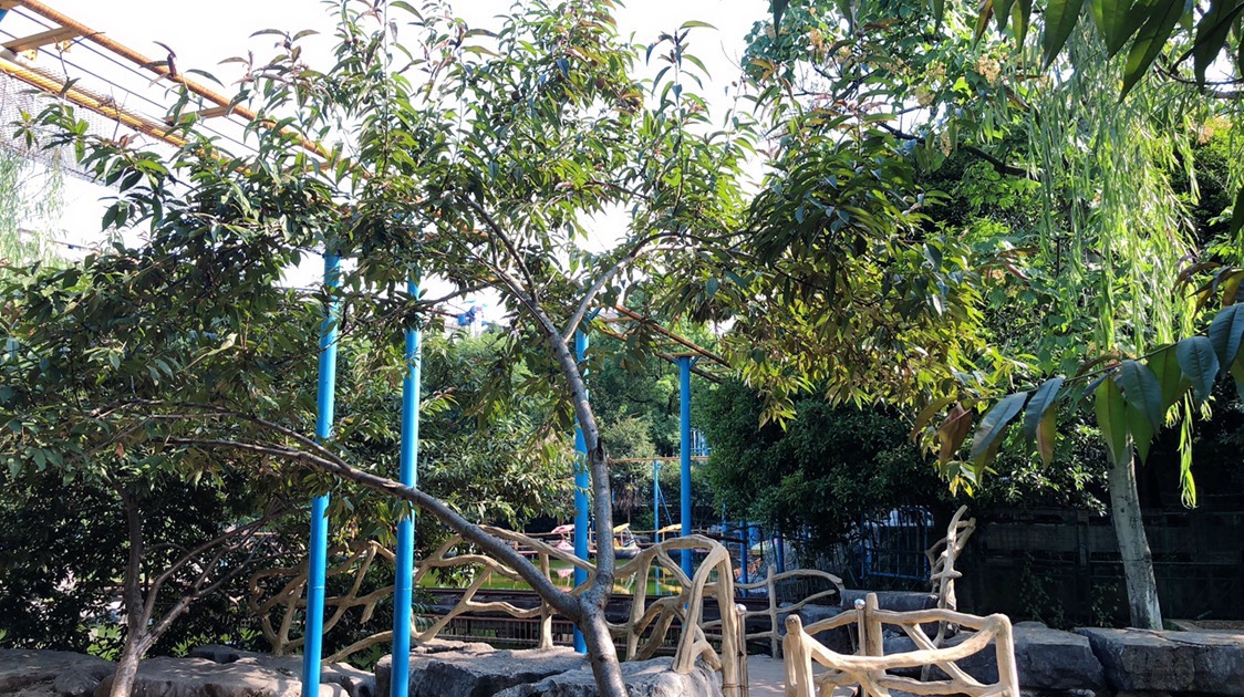 湖南永州:"虎岩公园"冷水滩八景之一的狮岩吼雨所在地