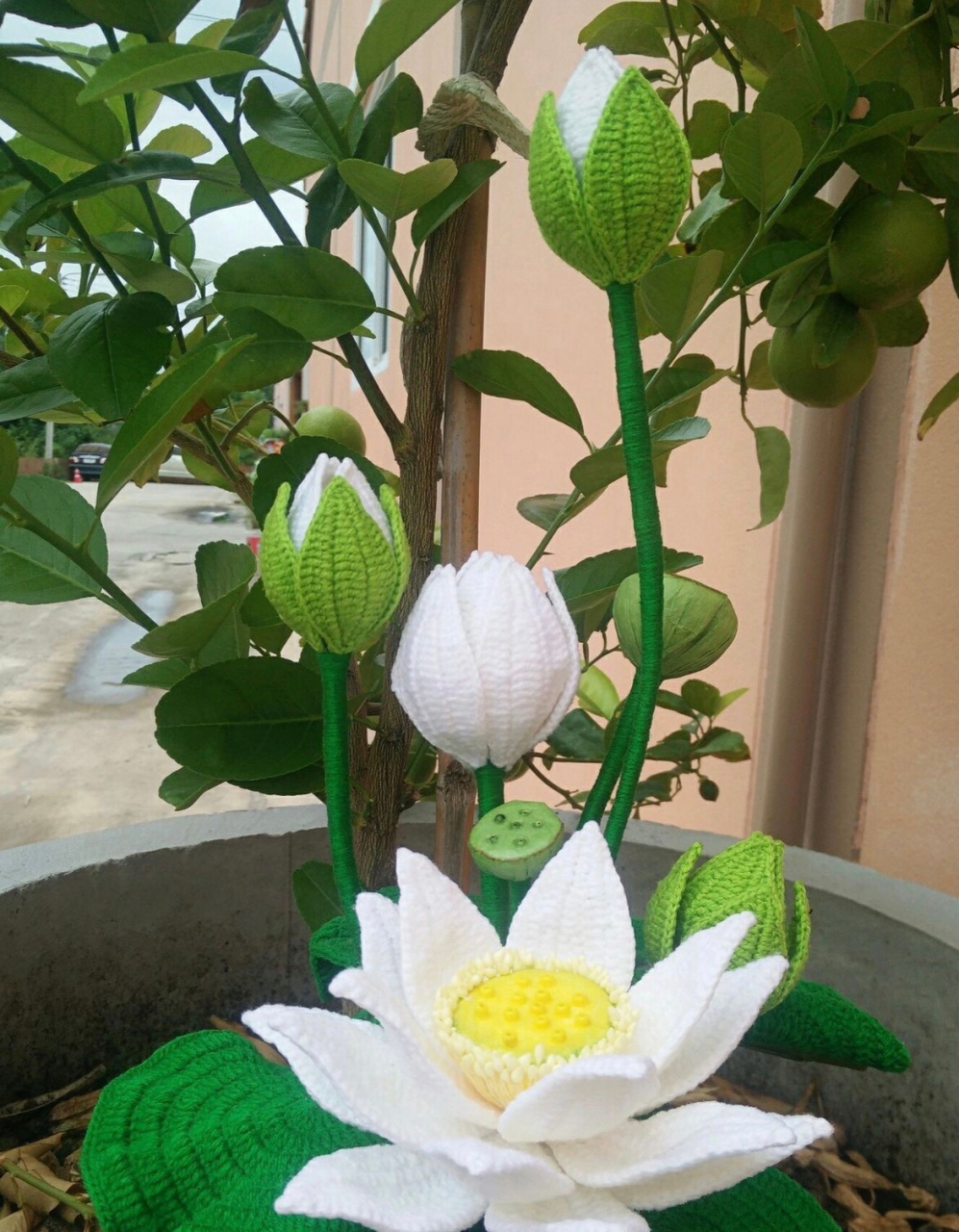 最近正逢荷花03盛开,附上钩针编织的荷花03莲花,供大家欣赏钩针