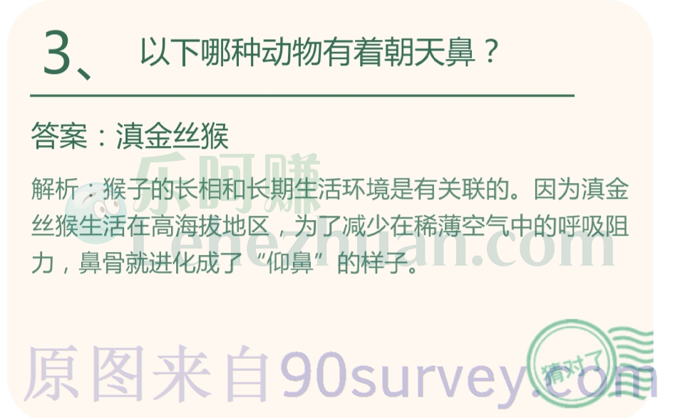 以下哪种动物有着朝天鼻?答案:滇金丝猴 以下哪种动物有着朝天鼻?答案:滇金丝猴