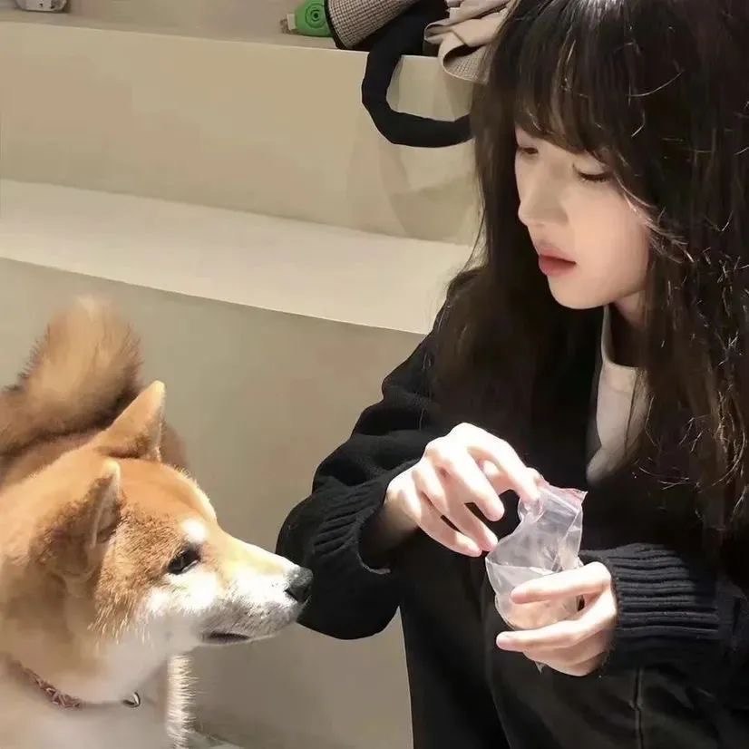 女生头像|恋爱脑