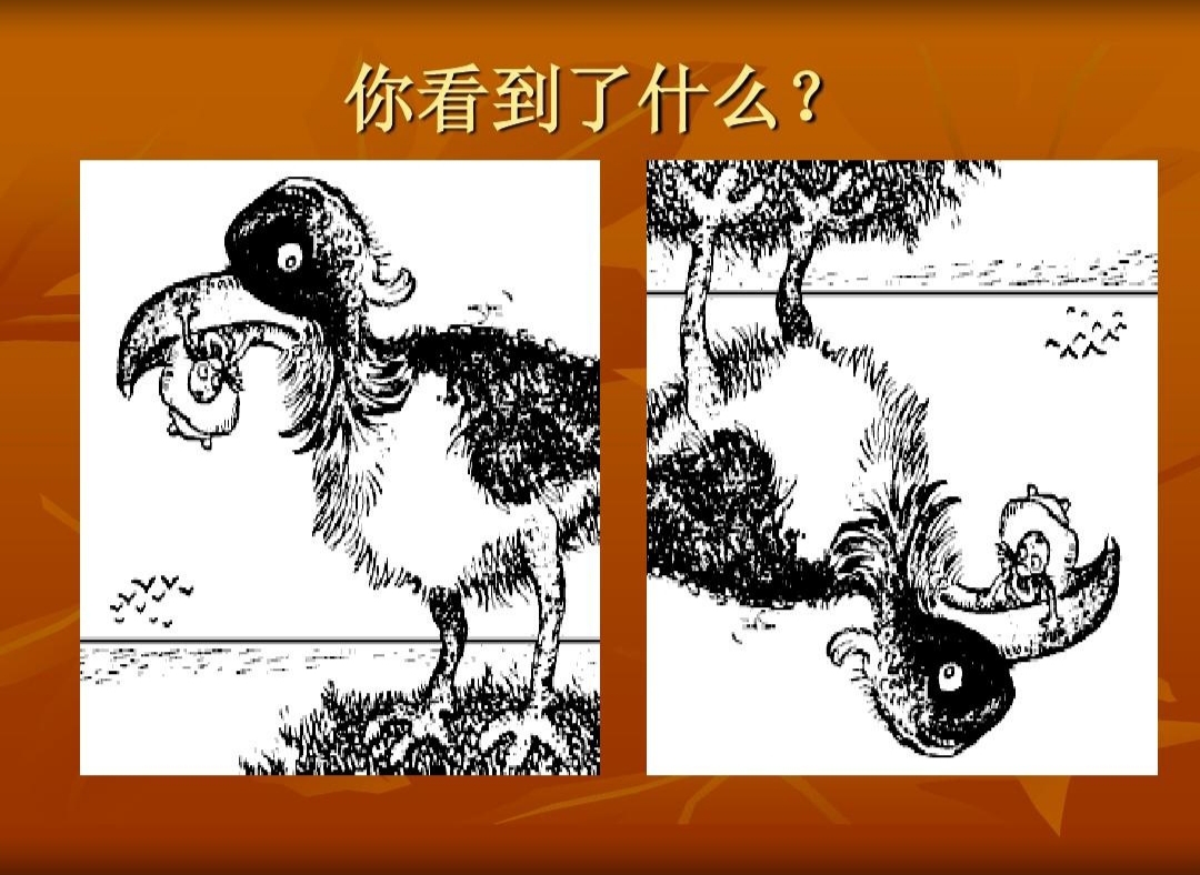 换个角度看问题