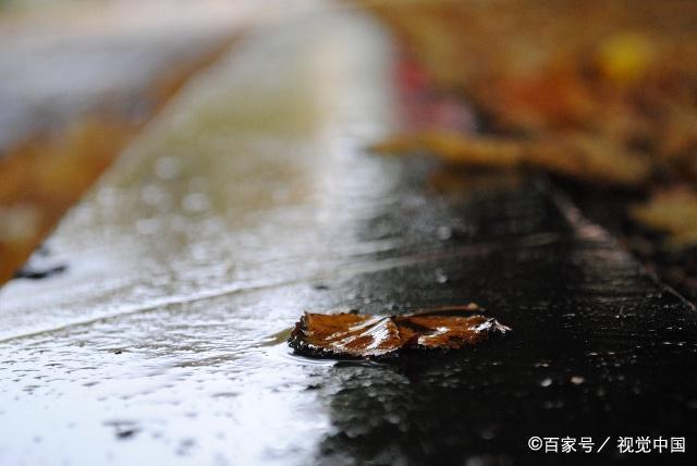 男生说深山夕照深秋雨图片