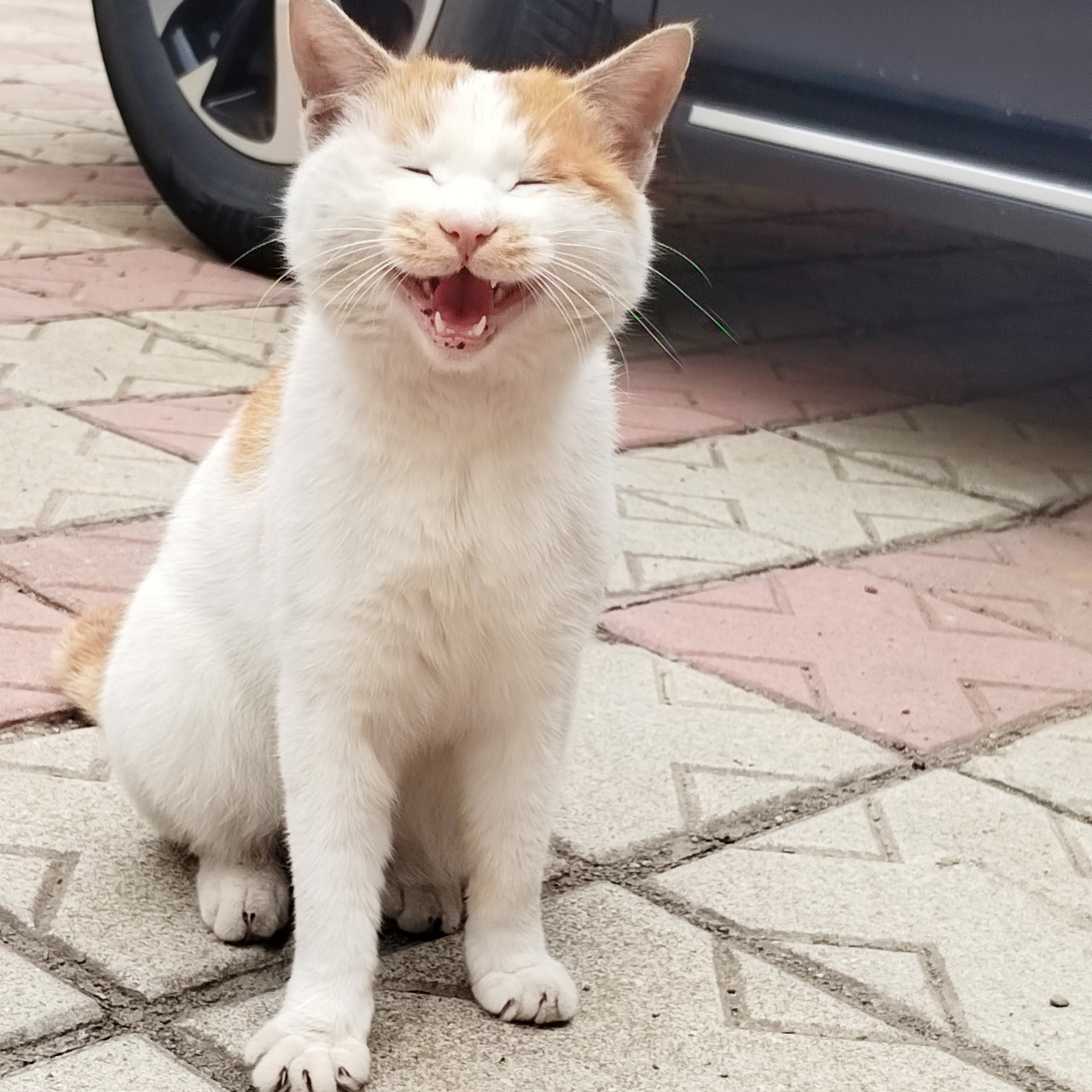 他的笑容好灿烂! 微笑表情里都是对生活的喜爱!