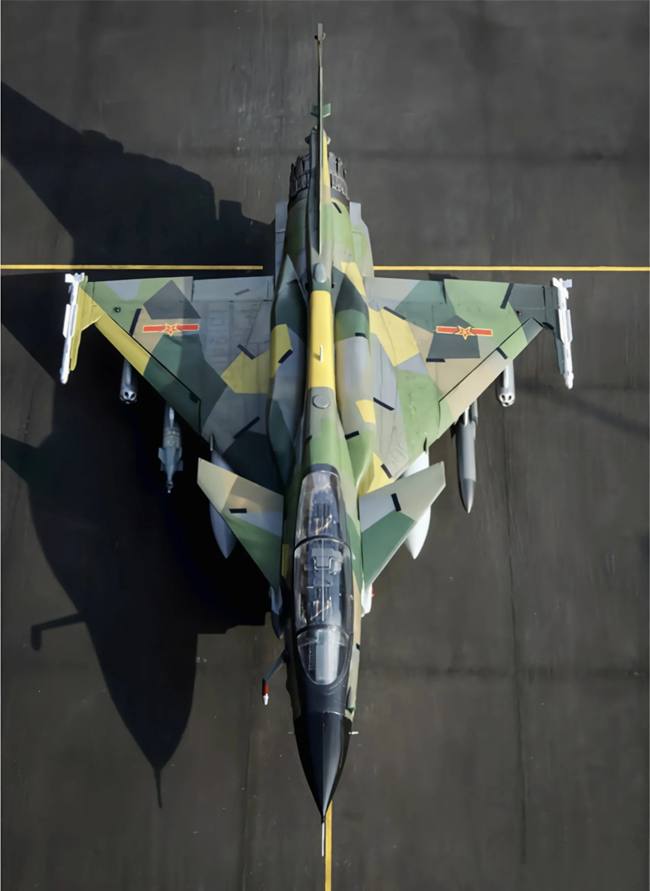 这样的割裂式迷彩还真好看 09