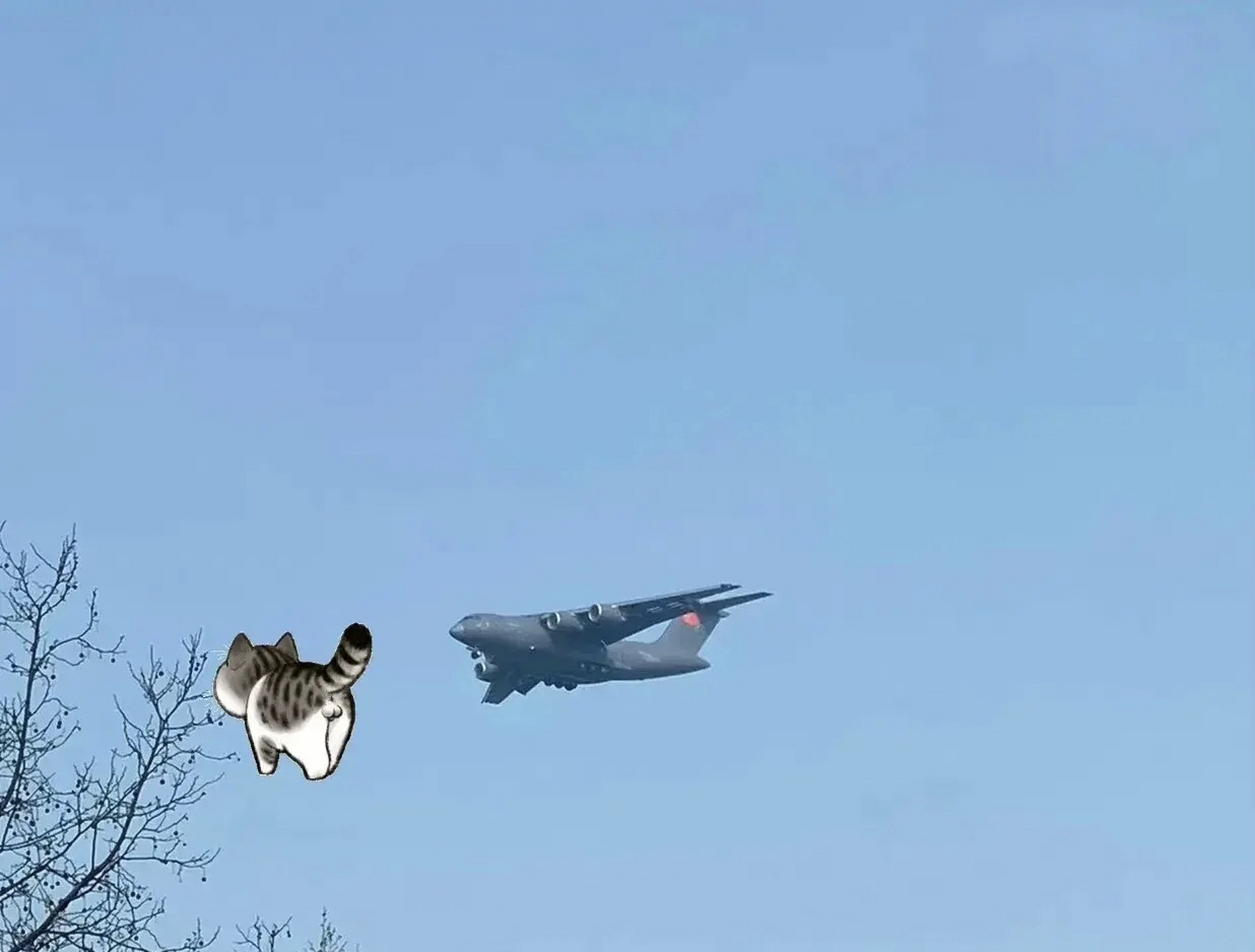 大酒桶版运20b好像服役了,因为根据网上的图片,换装大酒桶的运20b已经