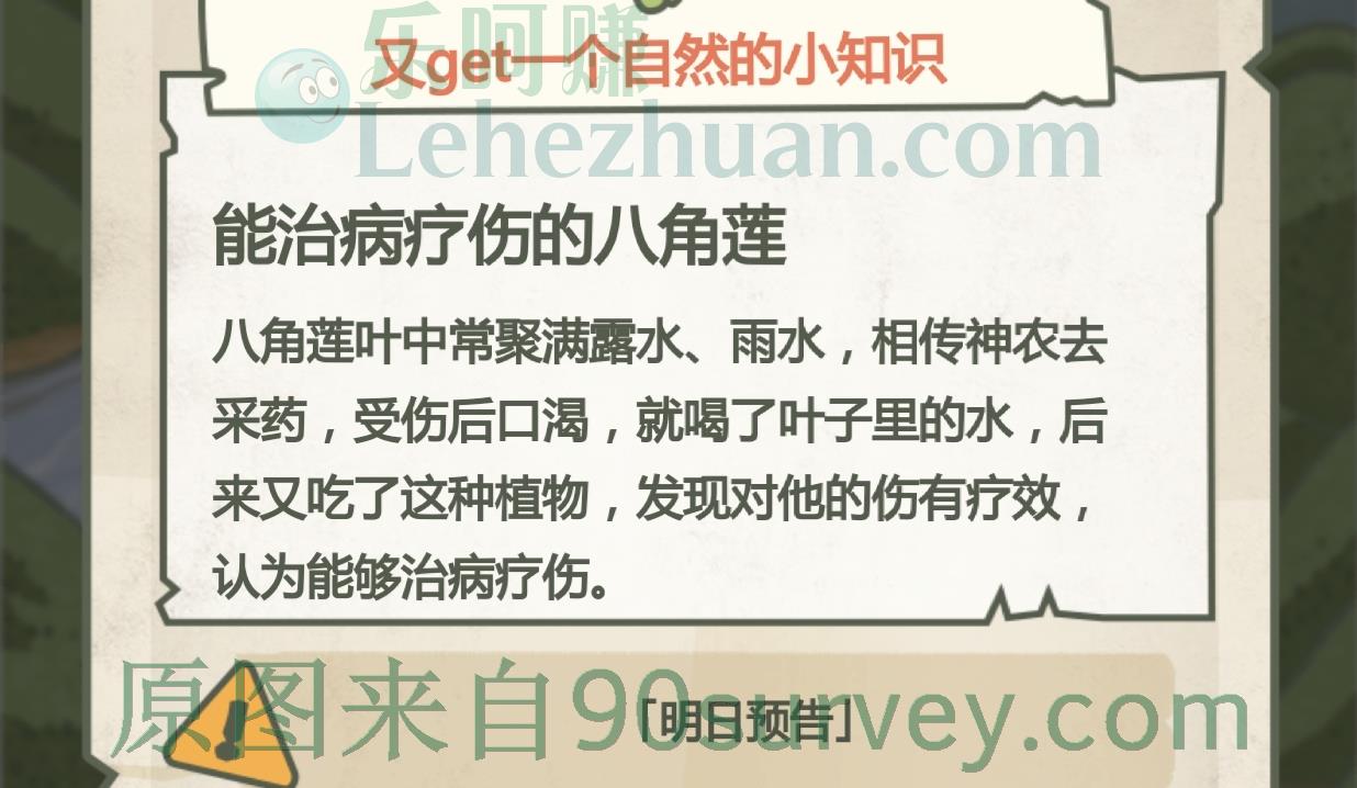 八角莲的别名从何而来? 八角莲的别名从何而来?