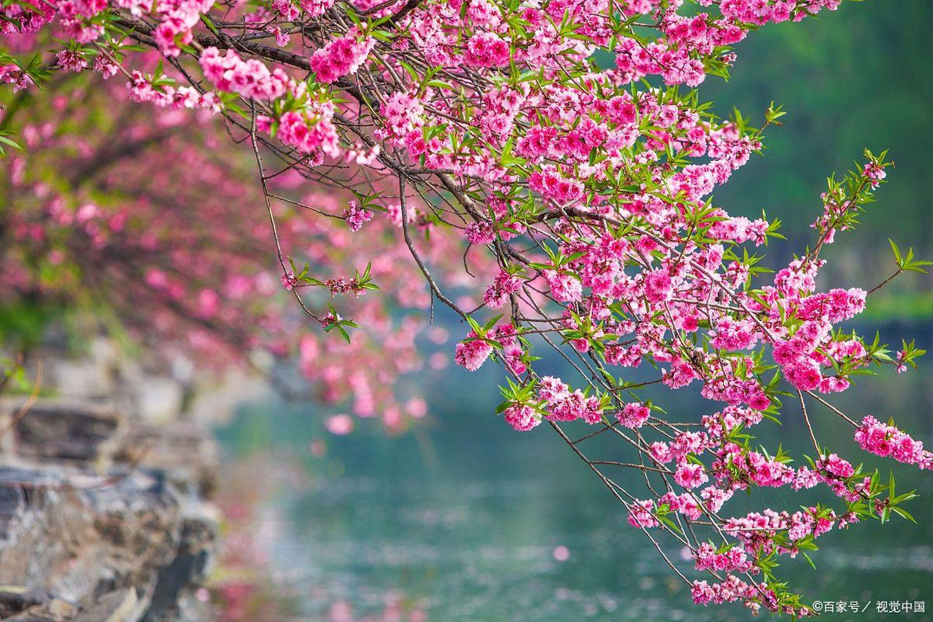 生活是自己的,千万别为难自己,  有什么样的能力,就过什么样的生活