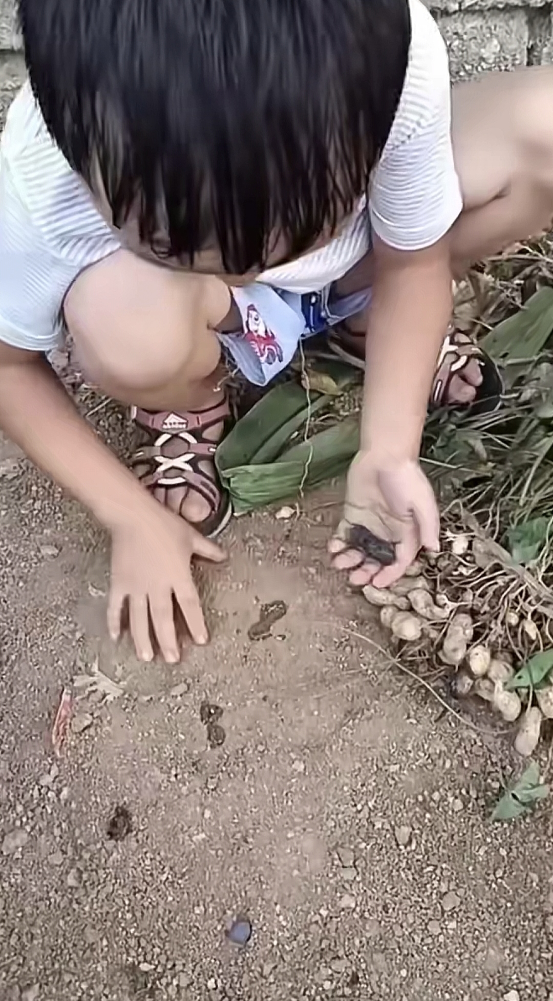 在花生下凿个洞烧火吃熟花生,还是头次见到,即使生在战争年代,这娃也