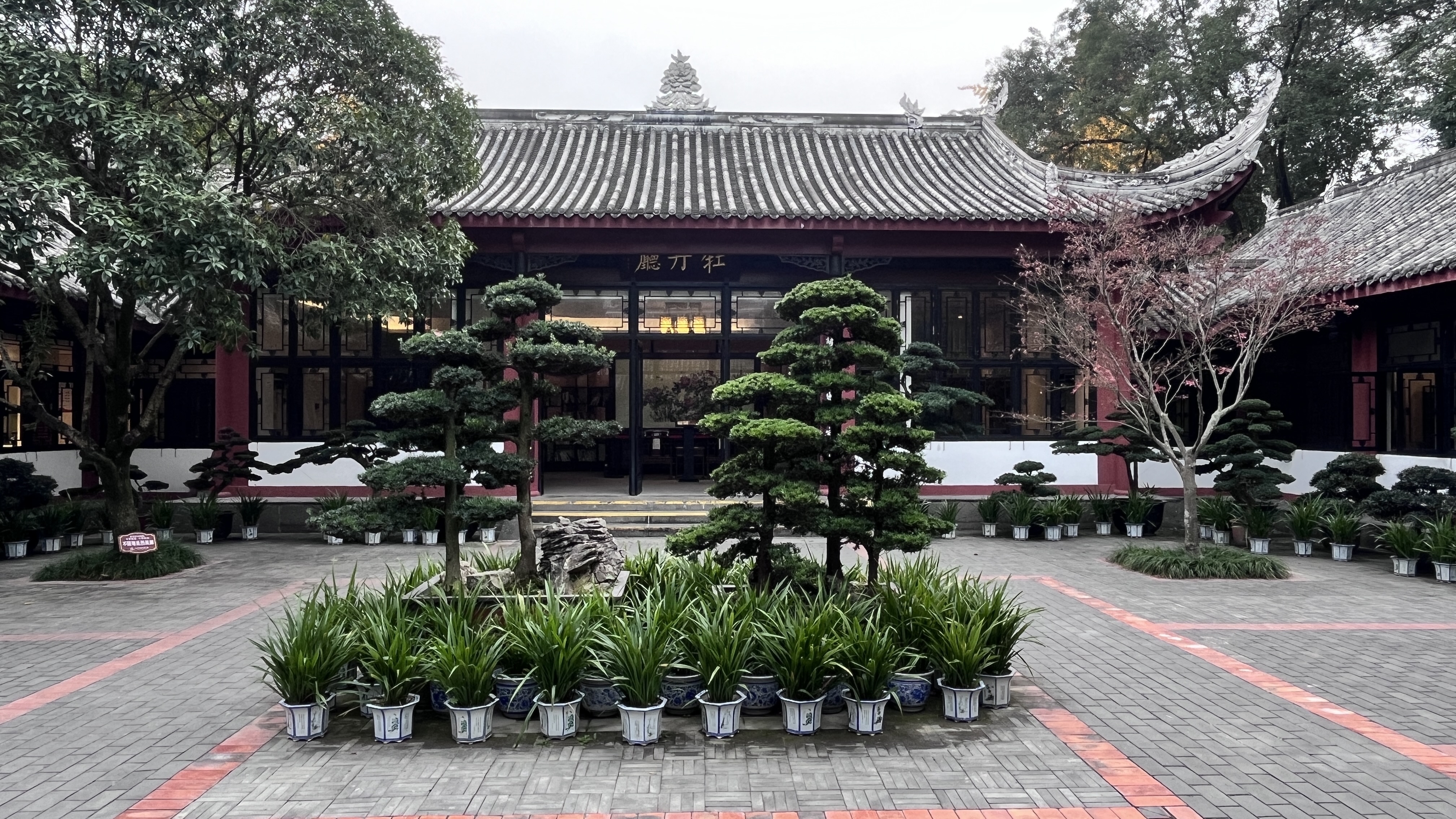 说来也怪,今天我也钻到了这里,来了后才知道,真来对了