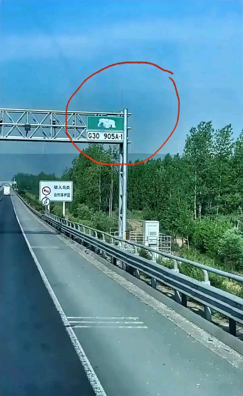 河南高速上的"大象"标志,你可把我害惨了!