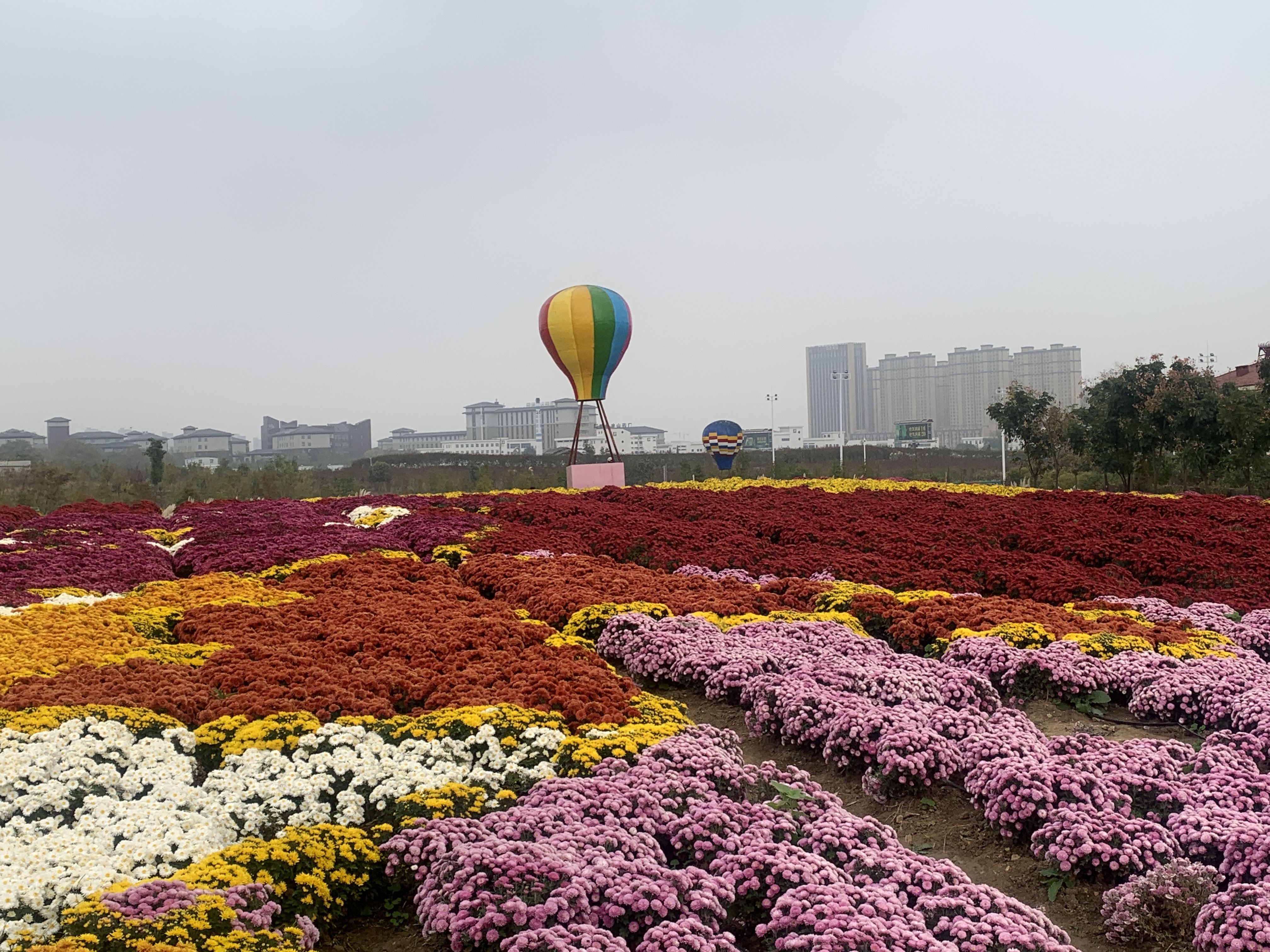 怀远禾泉小镇图片图片