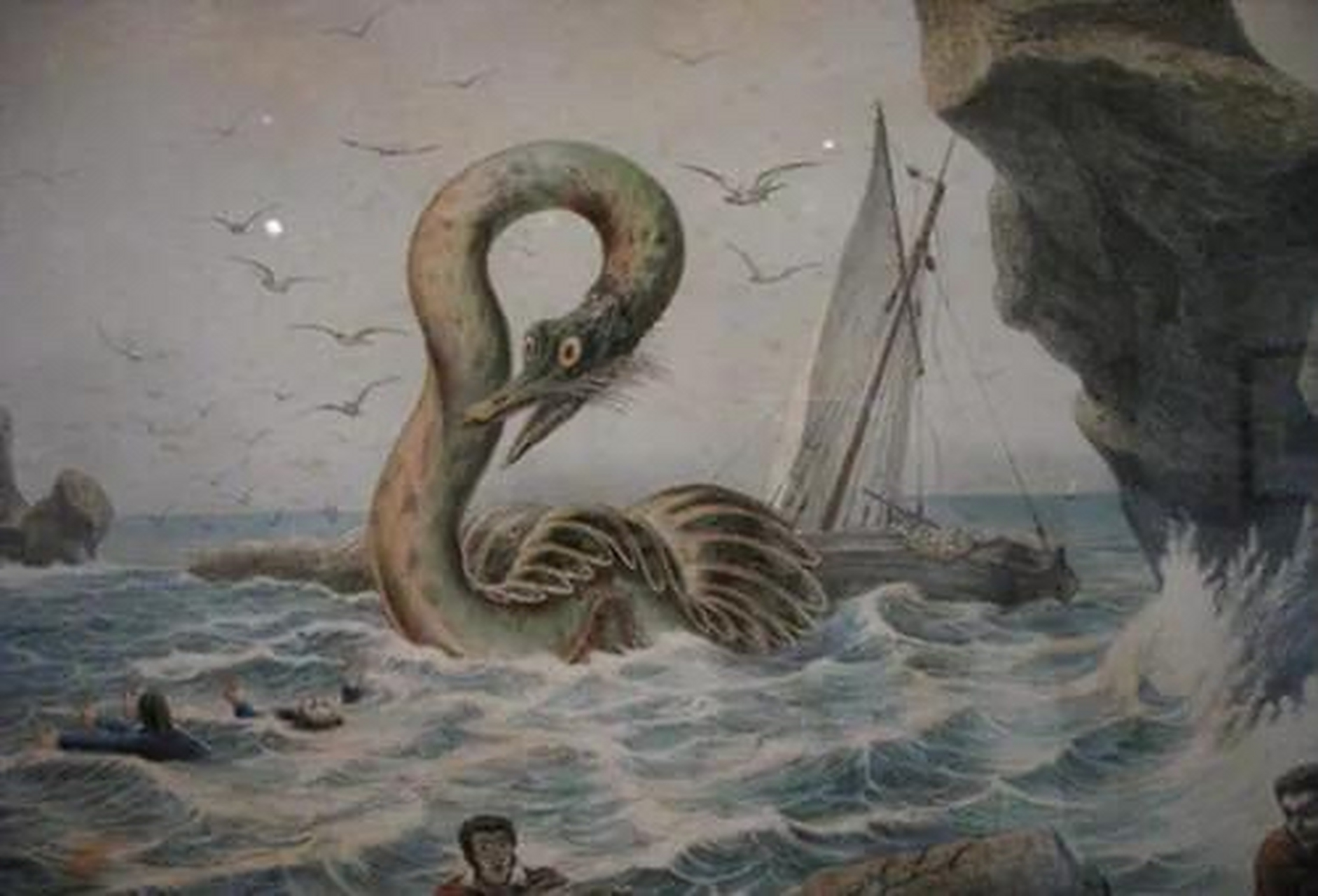 1962年,浙江海边渔村里有人称自己发现了巨型海蛇,足足有三米粗,全身