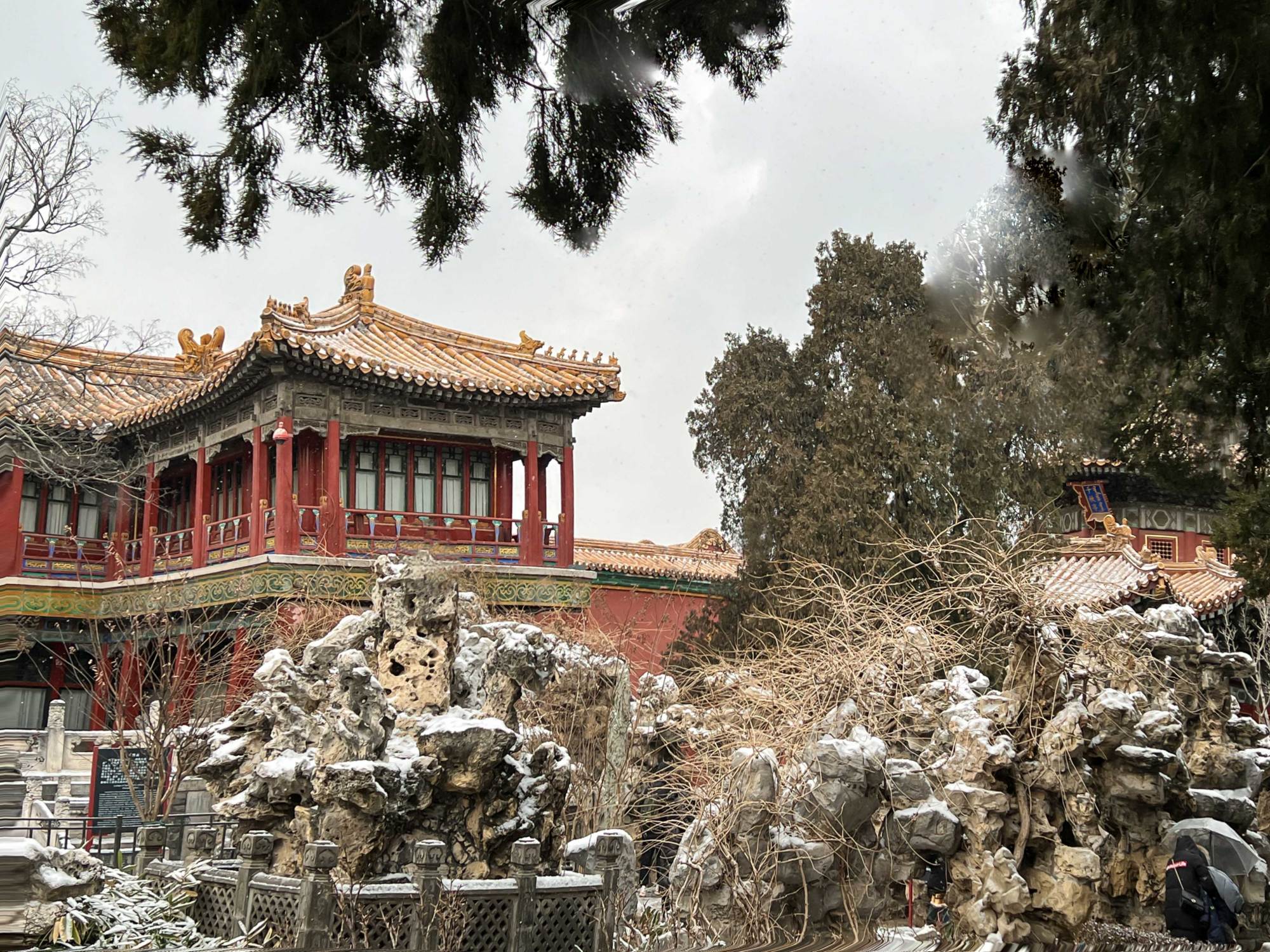 高清美图丨碎玉飞坠御花园