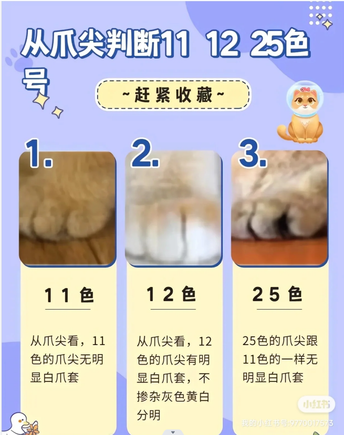 如何区分12色,11色,25色金渐层?