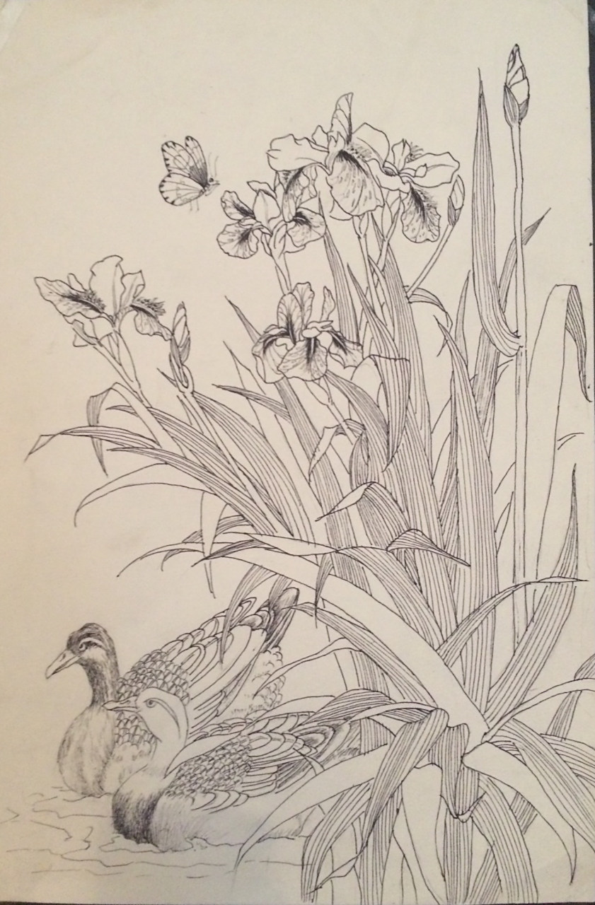 「干货| 初学者必备:线性国画线描勾画素材」#艺术