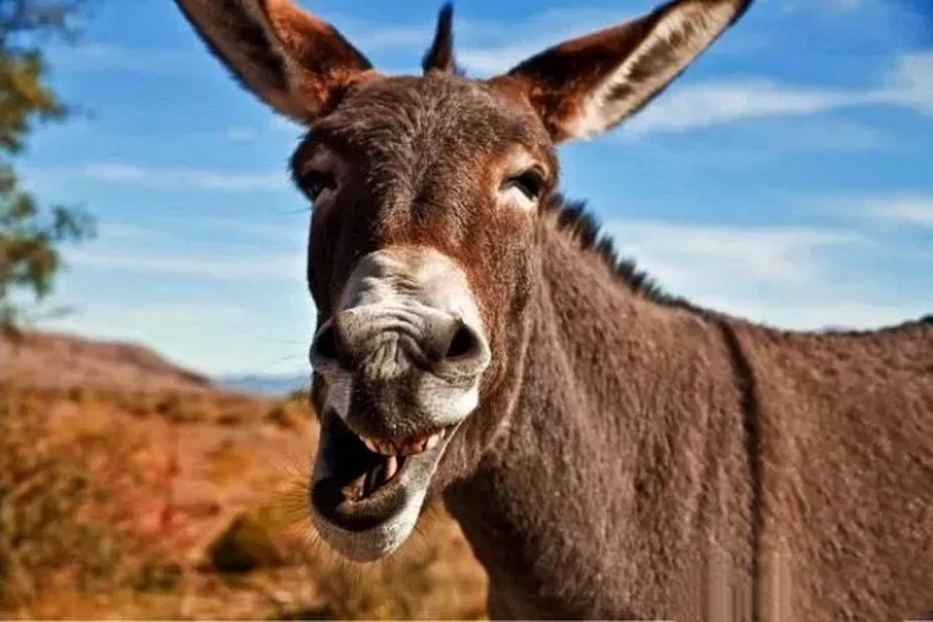 在学校代课5年了,总是融入不了学校老师的圈子 我