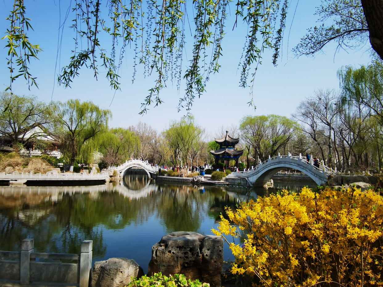 西沽公园的春天