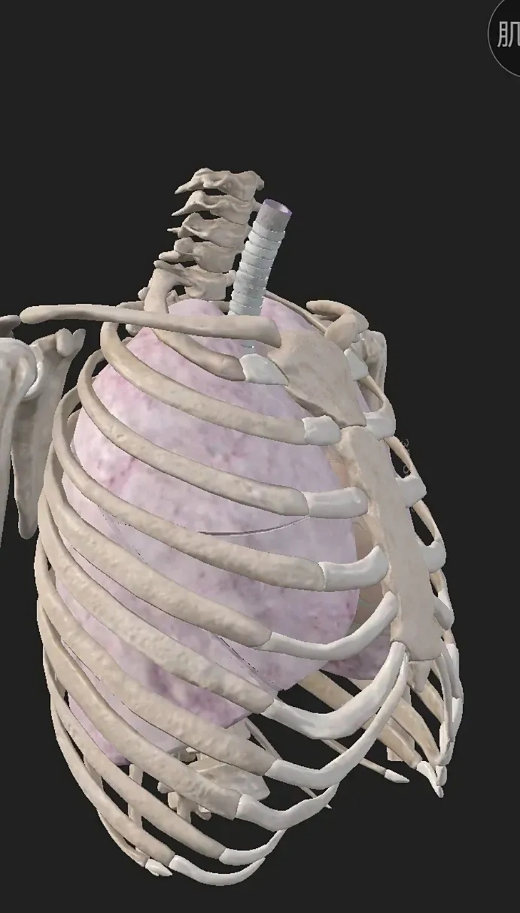 从剪刀扎进去的位置上看,胸骨旁靠右,剪刀长度也还够不到心脏,更到不