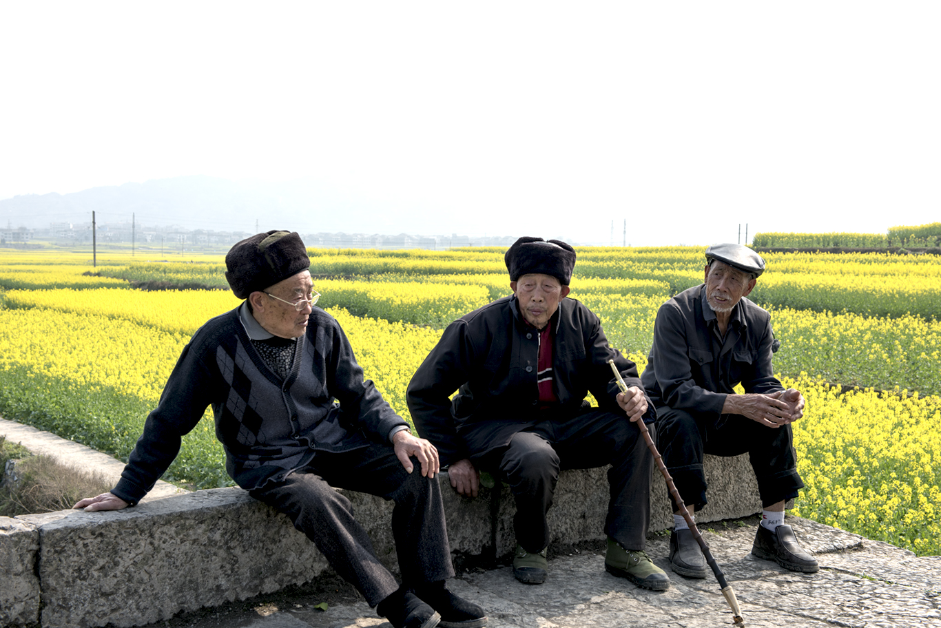 60岁老人生活照片图片