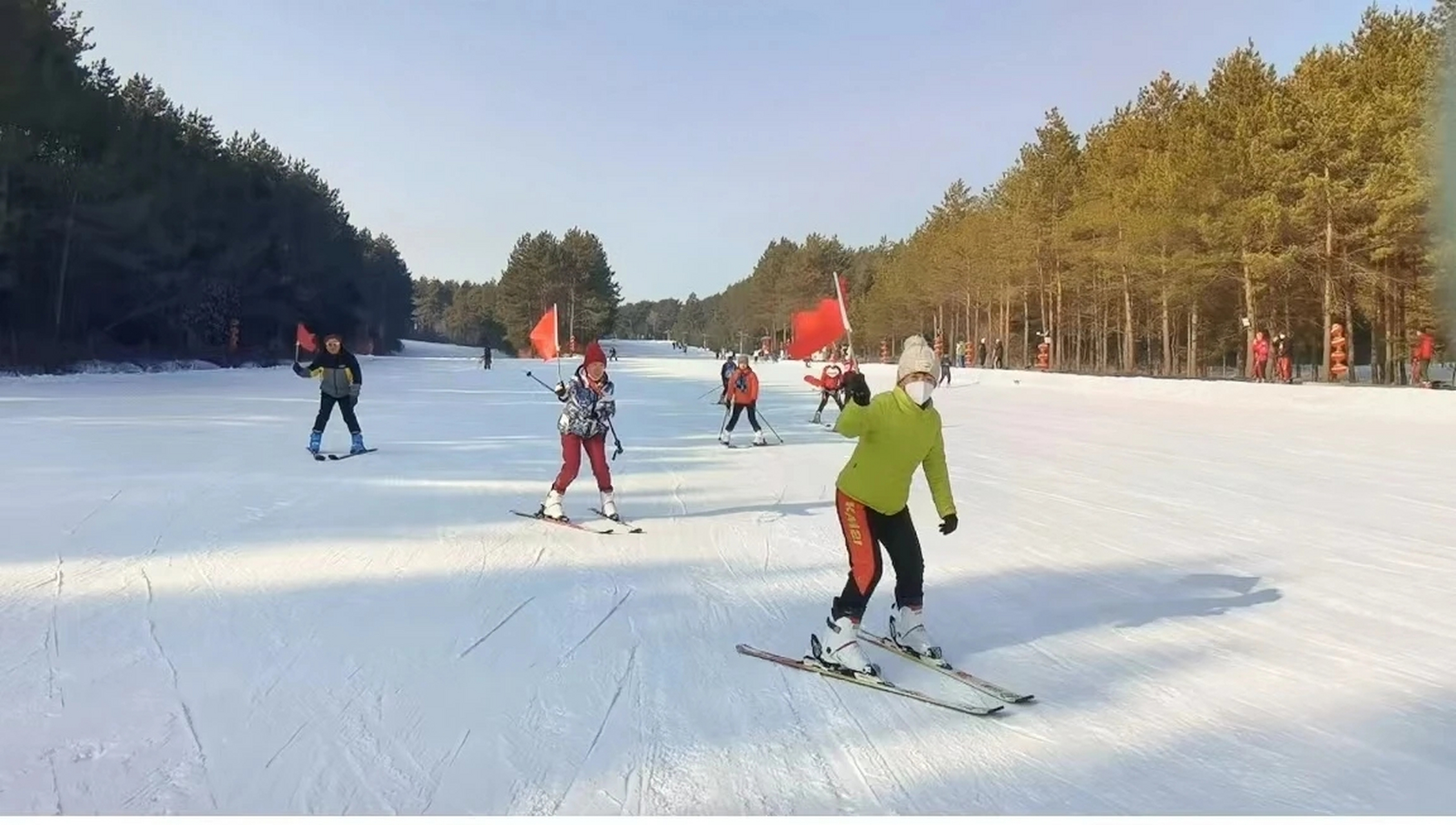 乌鲁木齐植物园滑雪图片